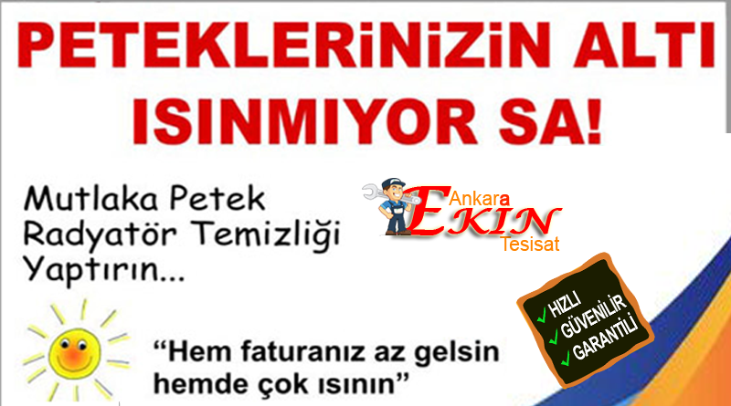 Ankara petek temizliği