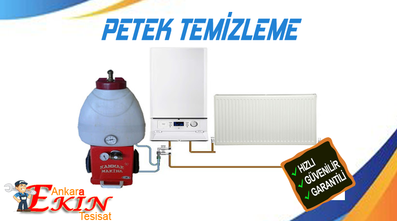 ETIMESGUT-PETEK-TEMIZLIGI