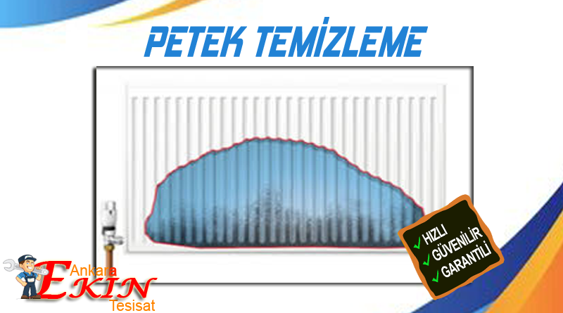 Çayyolu petek temizliği