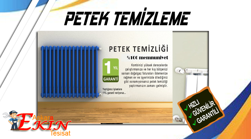 Dodurga İlaçlı Petek Temizliği