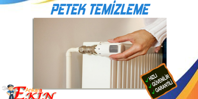 Akdere Petek Temizleme