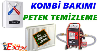 Abidinpaşa Petek Temizleme