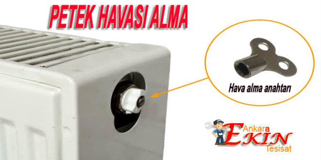 Peteklerin Havaları Nasıl Alınır