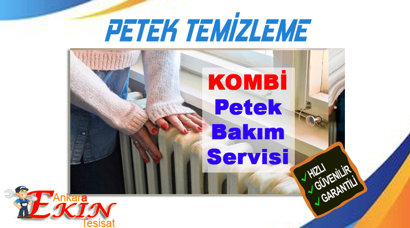 Petek Nasıl Temizlenir