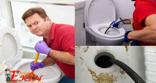 Abidinpaşa Tuvalet Tıkanıklığı Açma